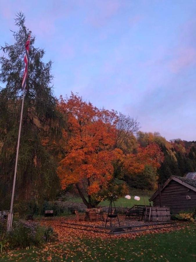 Skjeggestad Gjestehus Ringebu Exterior photo